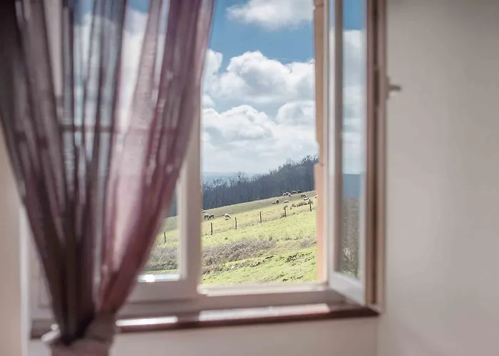 D'hotes Le Pignie Lescure-dʼAlbigeois